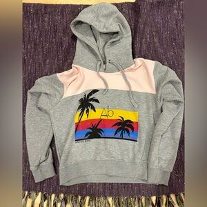 Super Cute, Vintage Anine Bing Hoodie!